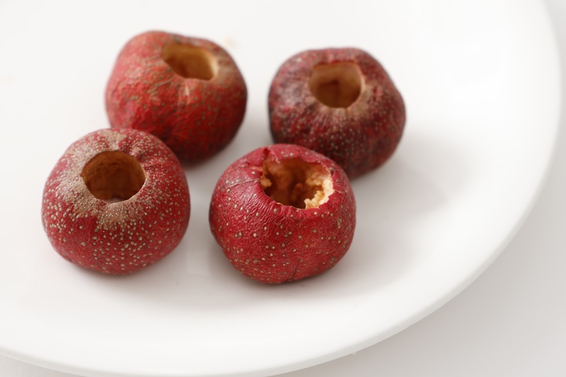 山査子,さんざし,サンザシ,フリーズドライ,ドライフルーツ,もりひさ屋,比較